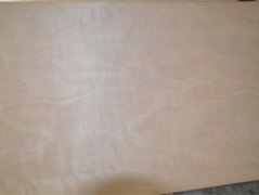 山東膠合板廠家