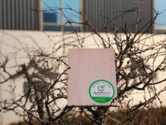 山東膠合板廠家